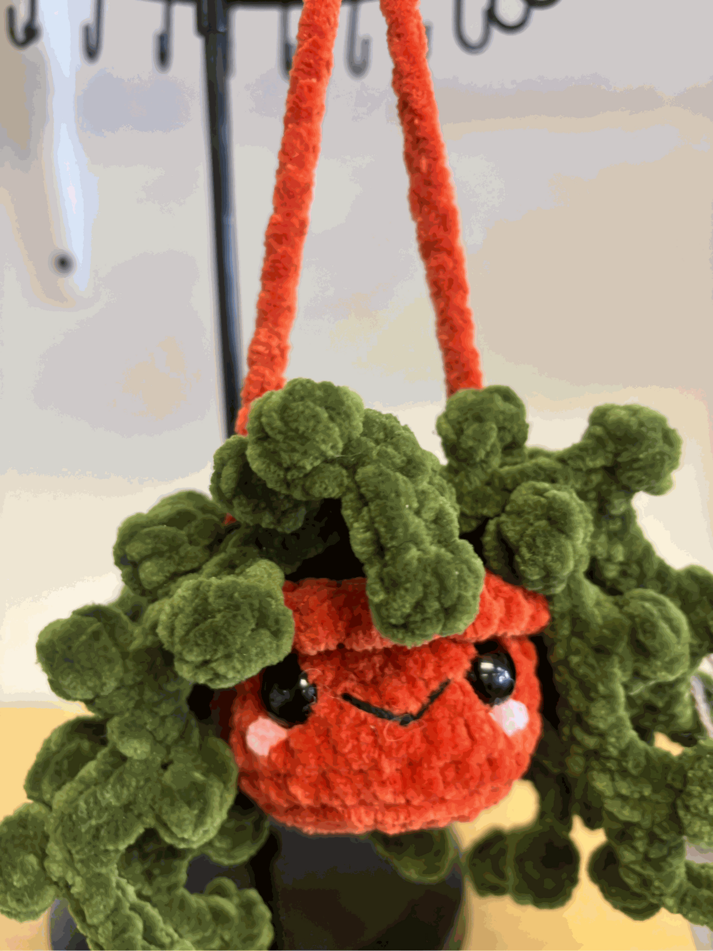 Hanging Plant - Decorative String of Pearls for Home