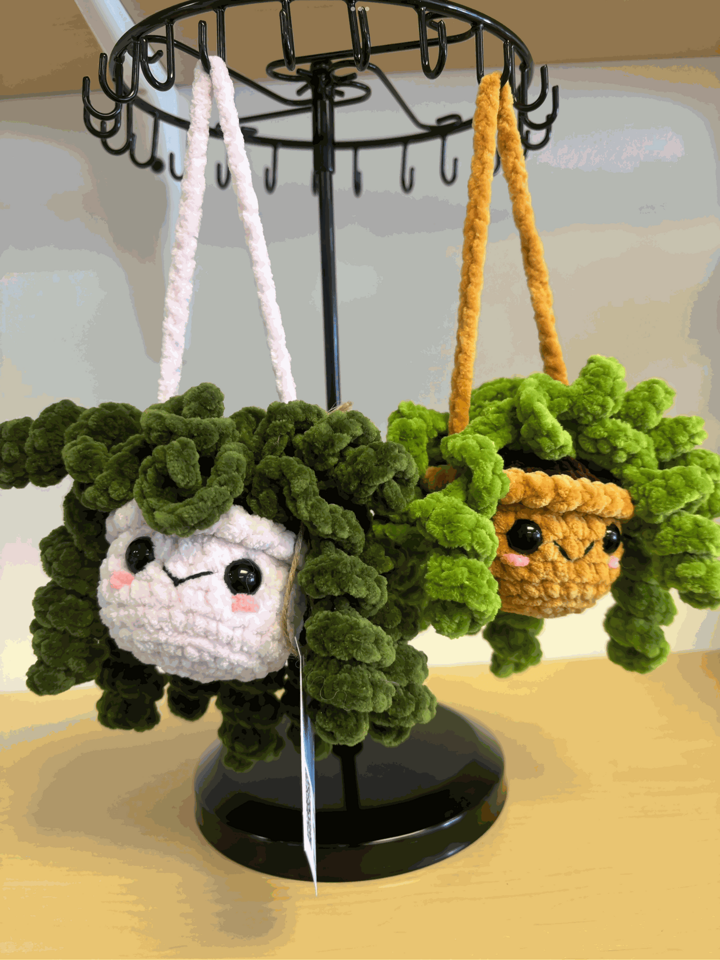 Hanging plant - Add Greenery Anywhere in Your Space