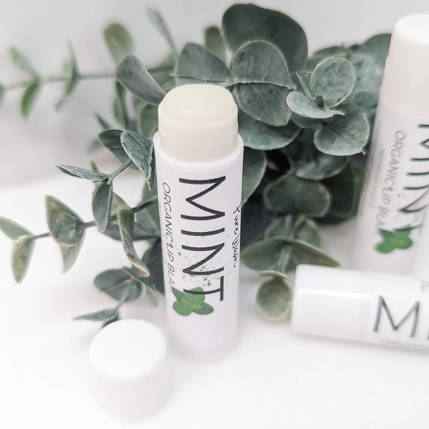 Delightful lip care solution infused with sweet almond oil, castor oil, and cocoa butter | CG Pure Wash