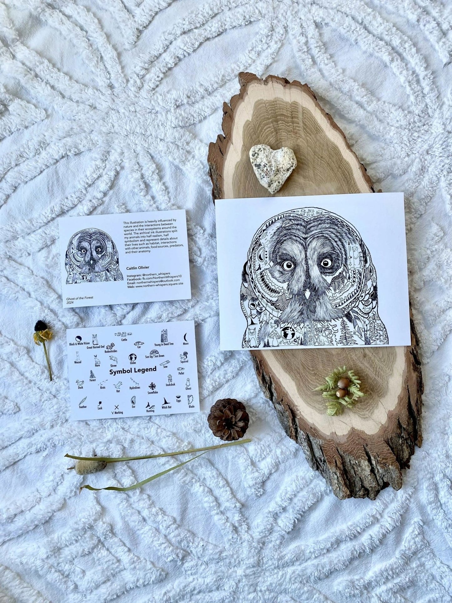 Ghost of the Forest - Pure Wash