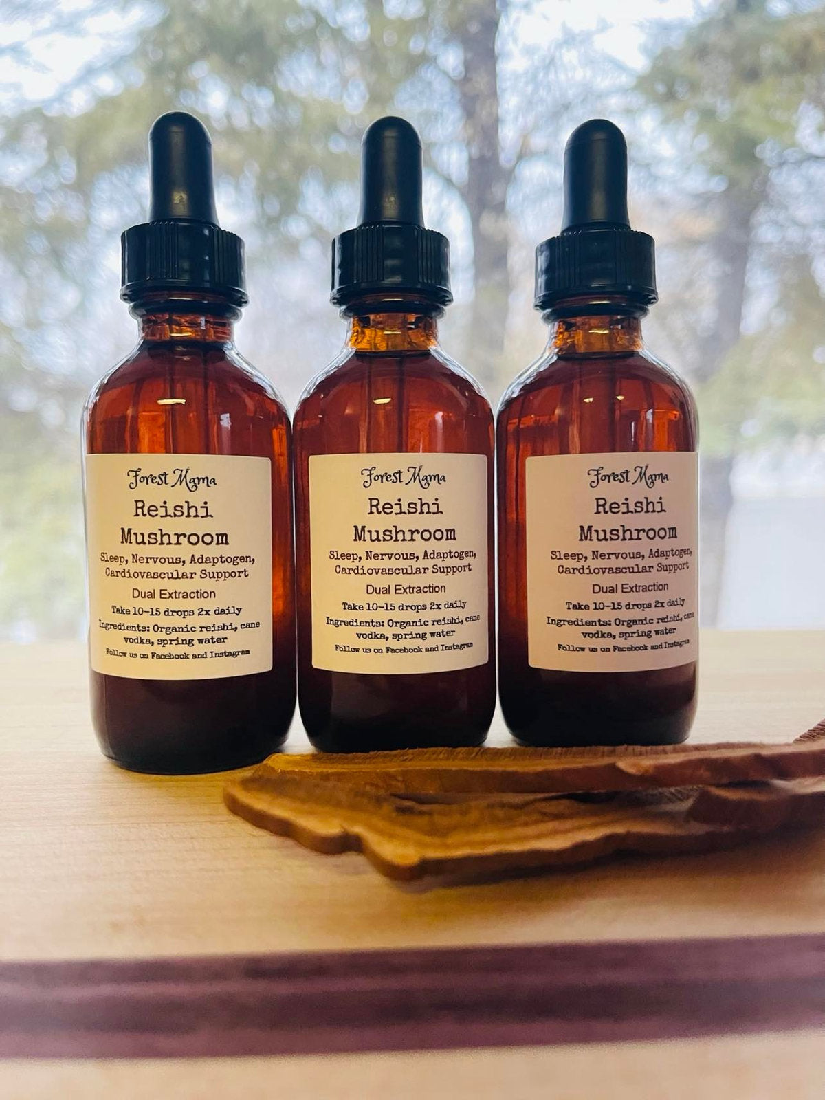 Reishi Mushroom Tincture 2 oz, an organic dual-extracted tincture by forestmama