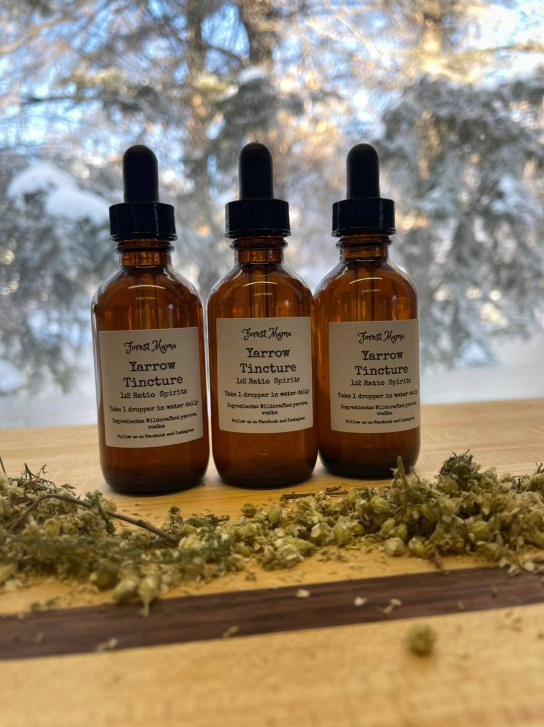 Yarrow Tincture 2 oz, made from wildcrafted yarrow by forestmama in Manitoba