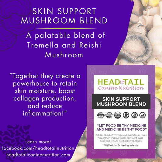 Skin Support Mushroom Blend | CG Pure Wash
