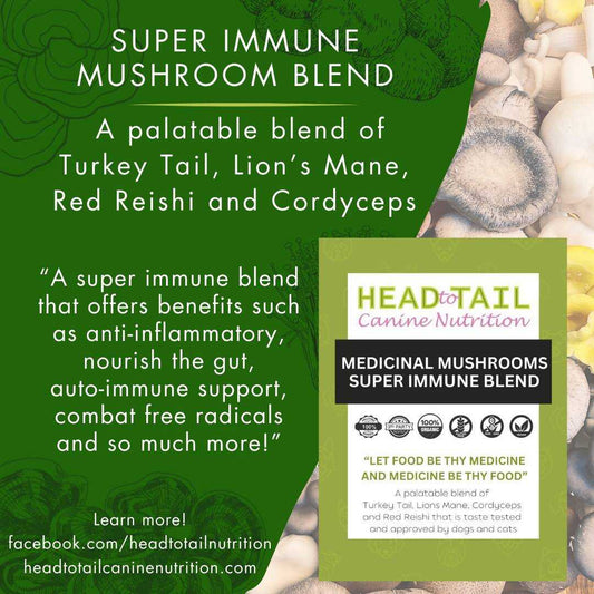 Medicinal Mushroom Super Immune Blend 100g | CG Pure Wash