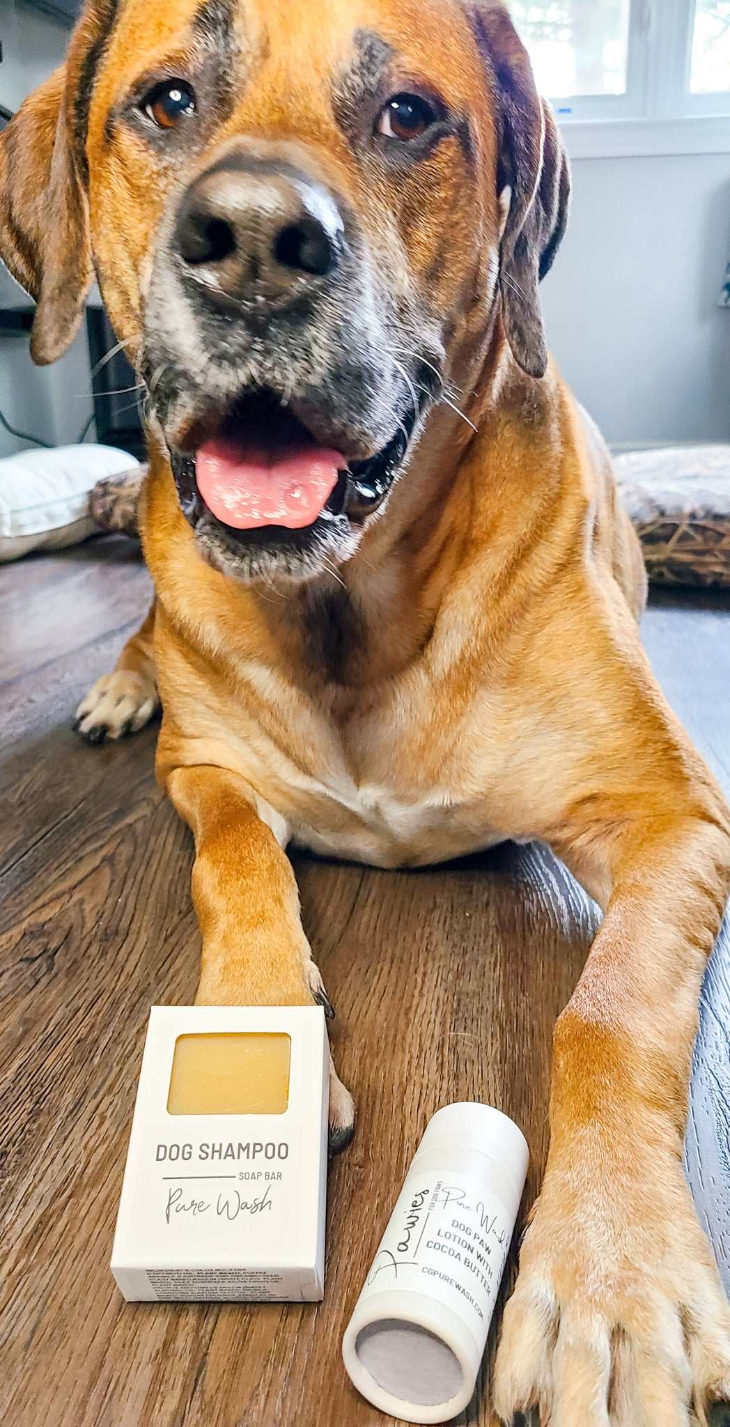 Pawsies Lotion Bar - Pure Wash