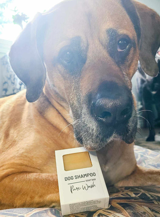 Natural Pet Shampoo Bar with Neem Oil for Healthy Coat