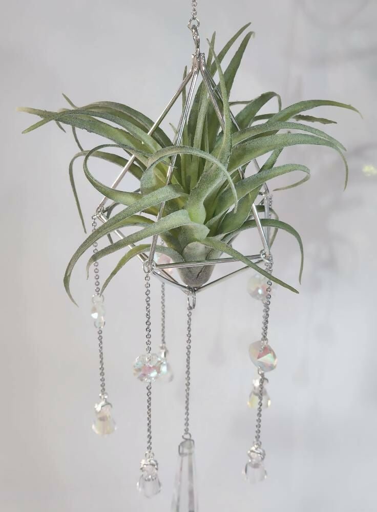 Pyramid Air Plant Suncatcher 1 - Pure Wash Canadian Made - Winnipeg