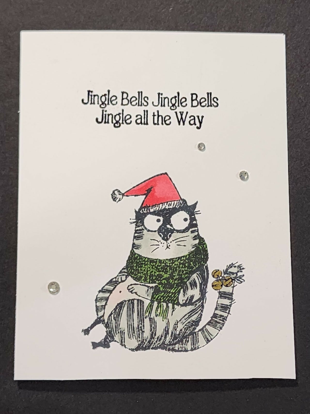Santa Cat Card - Pure Wash Canadian Made - Winnipeg