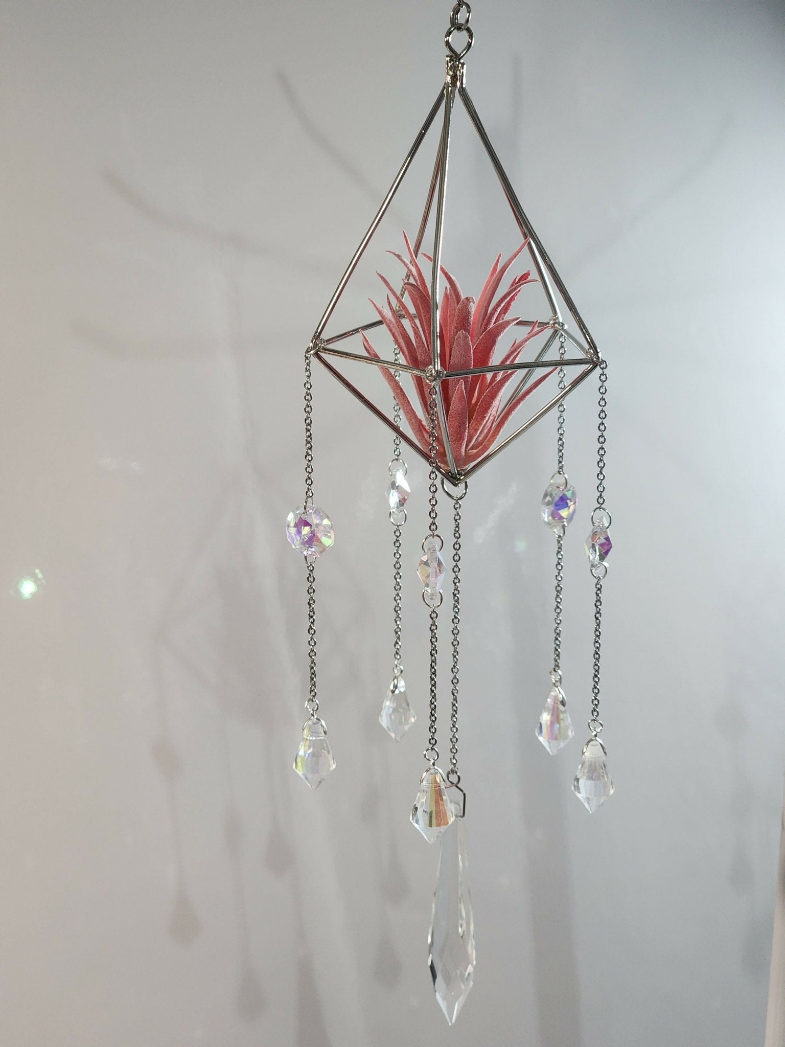 Pyramid Air Plant Suncatcher 4 - Pure Wash Canadian Made - Winnipeg