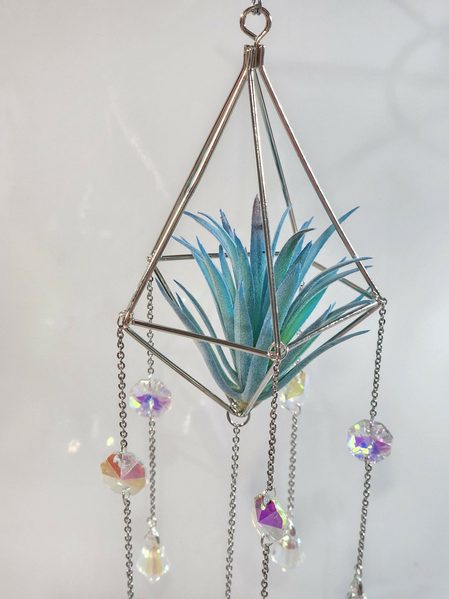 Pyramid Air Plant Suncatcher 3 - Pure Wash Canadian Made - Winnipeg