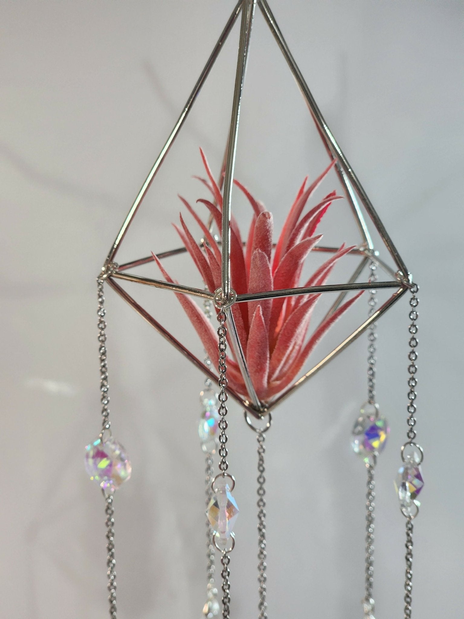 Pyramid Air Plant Suncatcher 4 - Pure Wash Canadian Made - Winnipeg