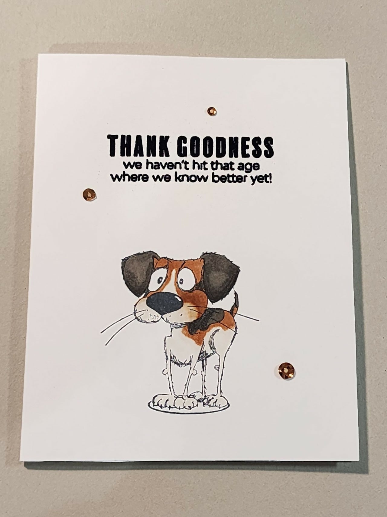 Dog 5 Card - Pure Wash Canadian Made - Winnipeg