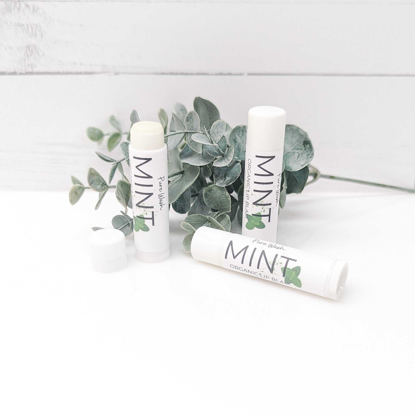 Minty Lip Balm with premium ingredients for rejuvenating lip care | CG Pure Wash.
