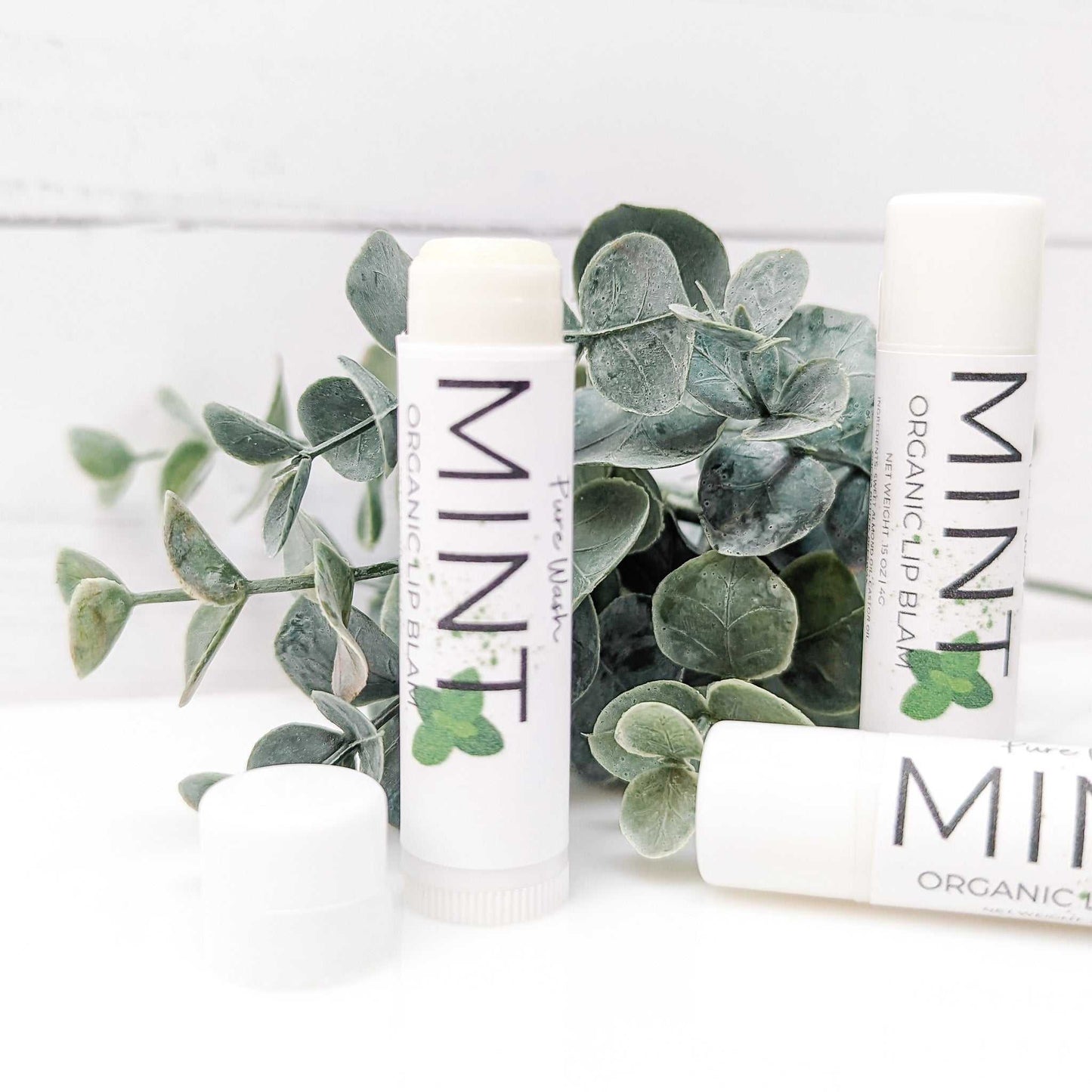 Rejuvenating Mint Lip Balm formulated with natural ingredients for supple, smooth lips | CG Pure Wash