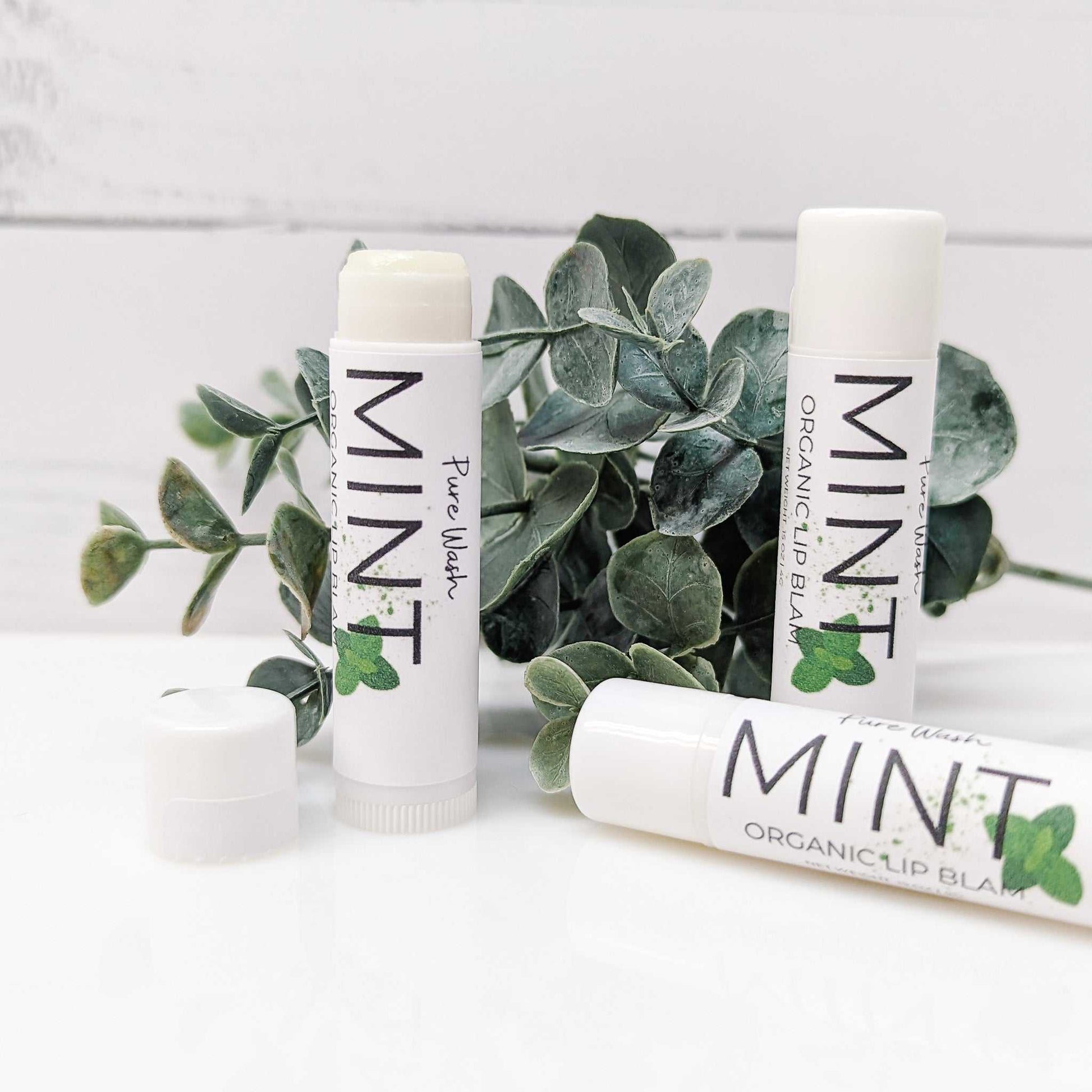 Protective mint lip balm enriched with shea butter and vitamin E for a refreshing experience | CG Pure Wash.