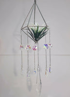 Pyramid Air Plant Suncatcher 5 - Pure Wash Canadian Made - Winnipeg