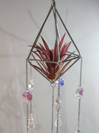 Pyramid Air Plant Suncatcher 2 - Pure Wash Canadian Made - Winnipeg