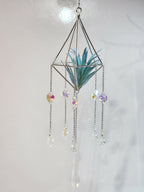 Pyramid Air Plant Suncatcher 3 - Pure Wash Canadian Made - Winnipeg