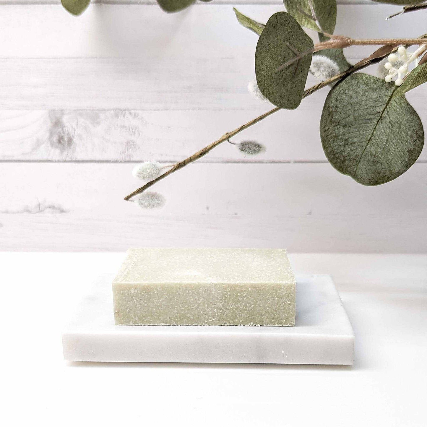 Aloe and sea salt soap bar, handcrafted with all-natural ingredients for skin health | CG Pure Wash
