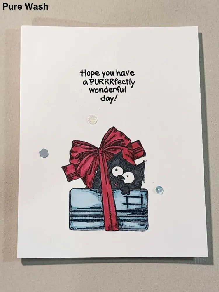 Birthday Cat 2 Card - Pure Wash Canadian Made - Winnipeg