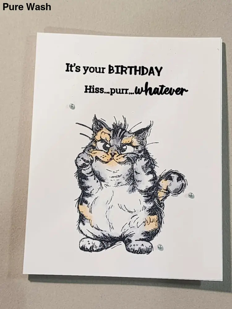Birthday Cat 3 Card - Pure Wash Canadian Made - Winnipeg