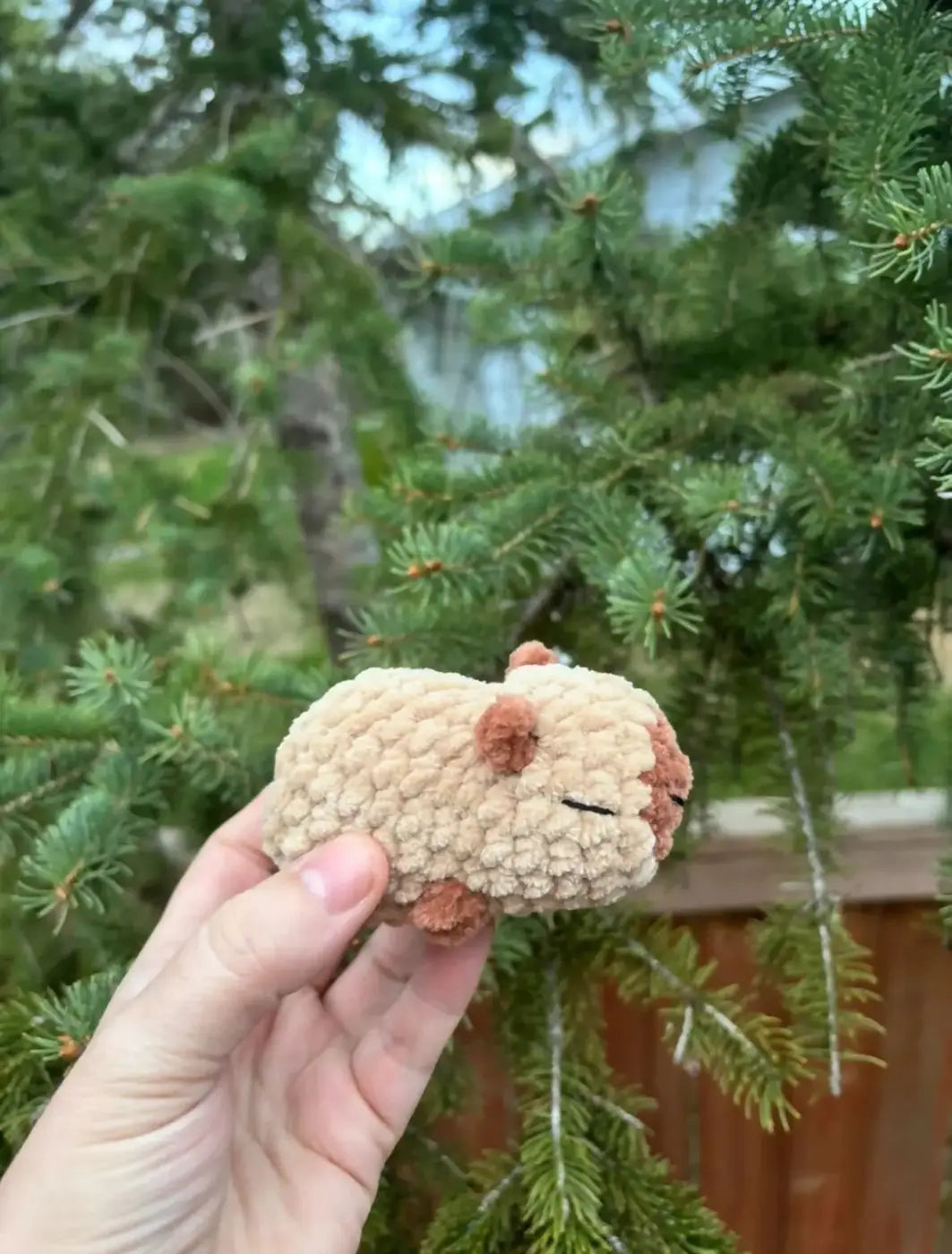 Capybara - pure wash default title soft beige brown crocheted guinea winnipeg canada