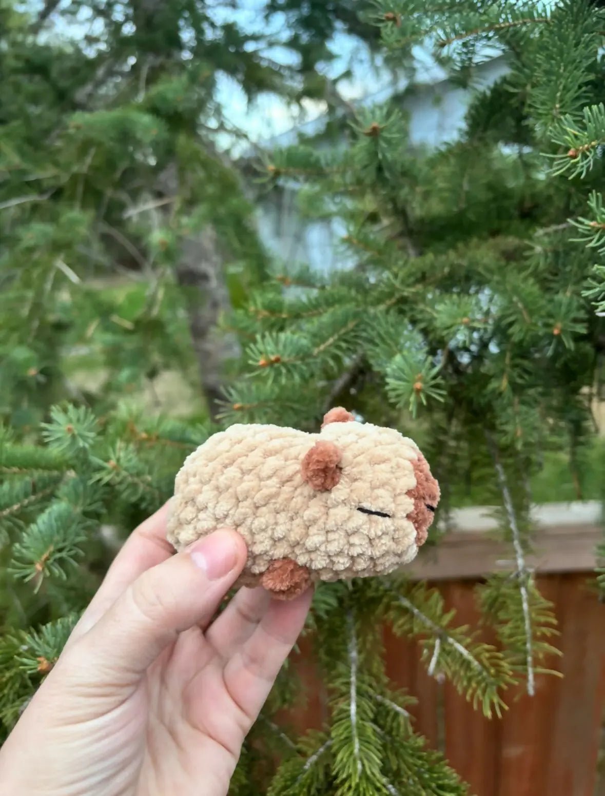 Capybara - Pure Wash