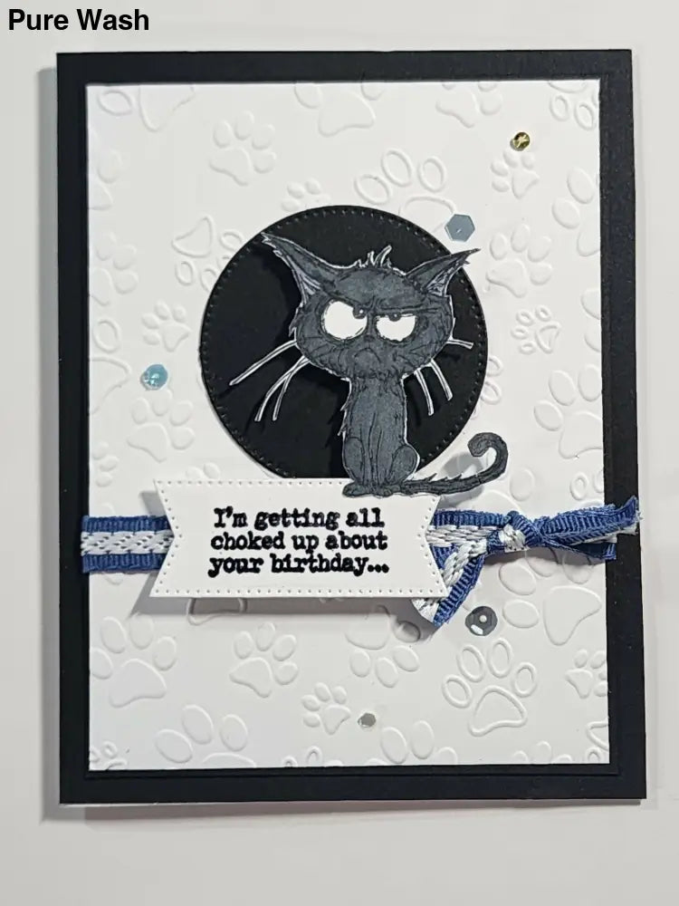 Cat 16 Card - Pure Wash Canadian Made - Winnipeg