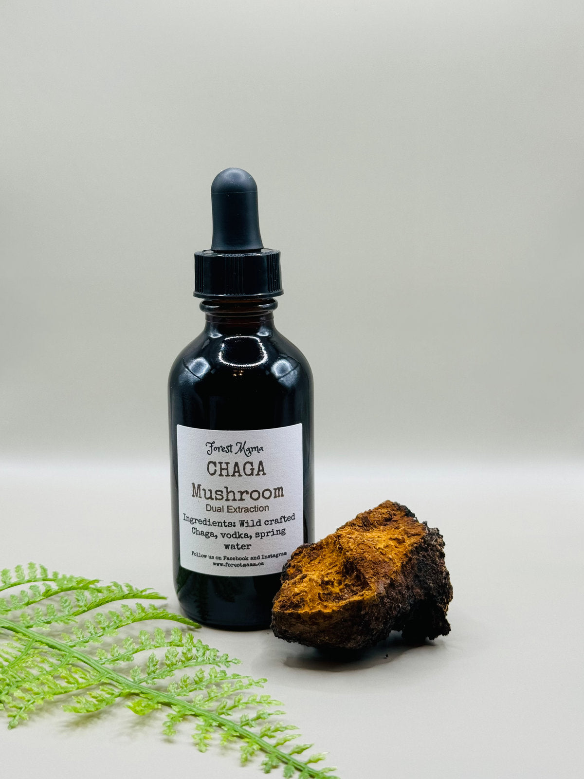 Chaga Tincture 2 oz, a wildcrafted dual-extracted mushroom tincture by forestmama