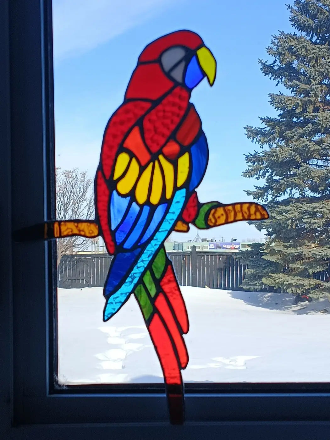 Colorful large parrot stained glass macaw featuring bold reds blues yellows and greens perched on a branch
