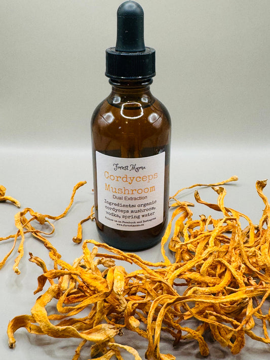Cordyceps Tincture 2 oz by forestmama, a dual-extracted mushroom tincture made in Manitoba
