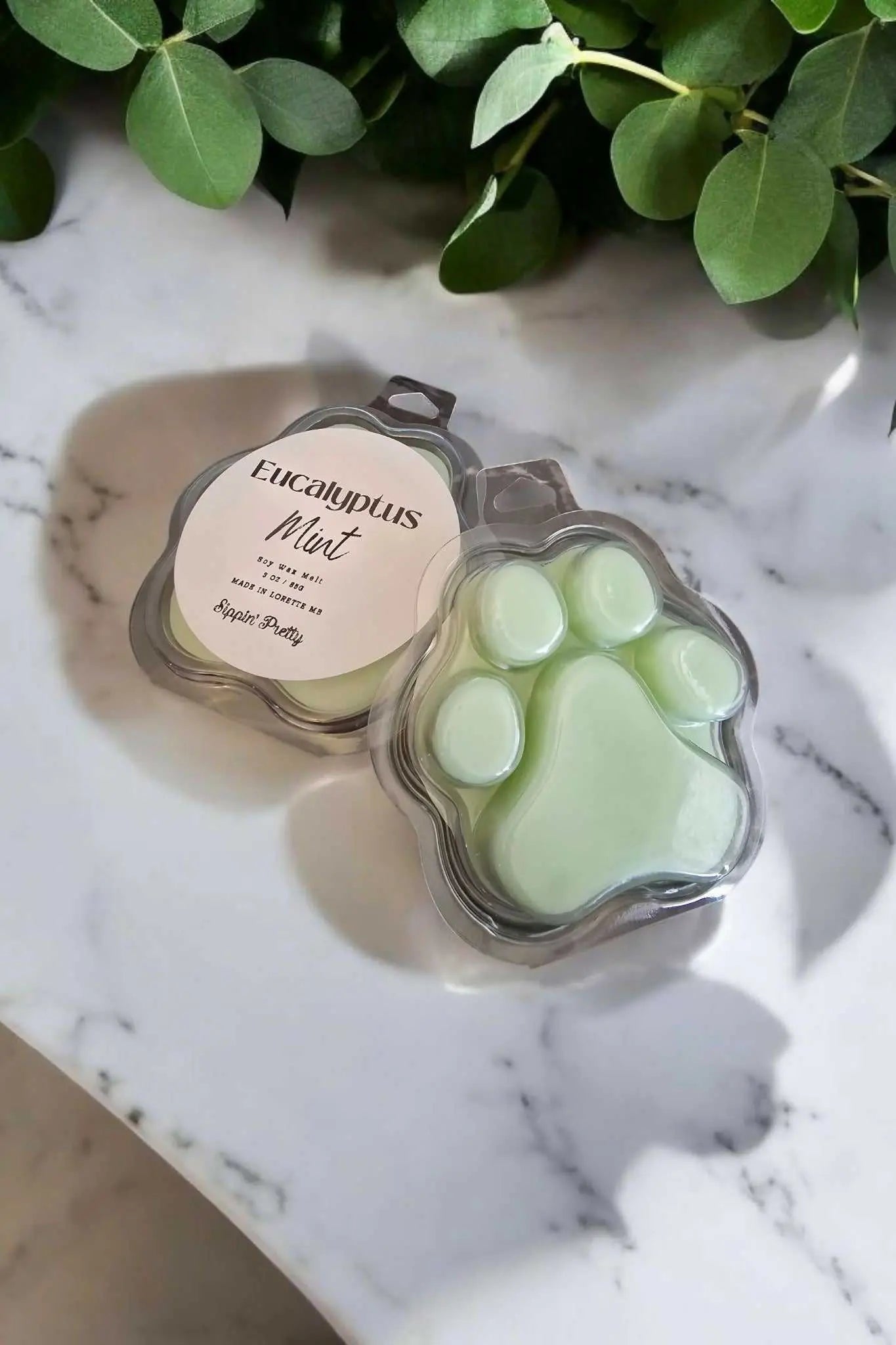 Eucalyptus Mint Aromatherapy Wax Melt for Home Fragrance - Pure Wash Aromatherapy wax melt home fragrance