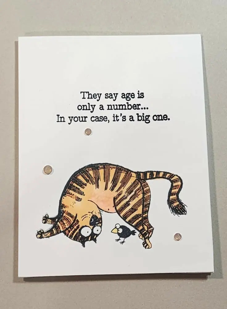 White greeting card featuring a cartoon orange tabby cat and black bird illustration ideal for canadian made skincare gift sets