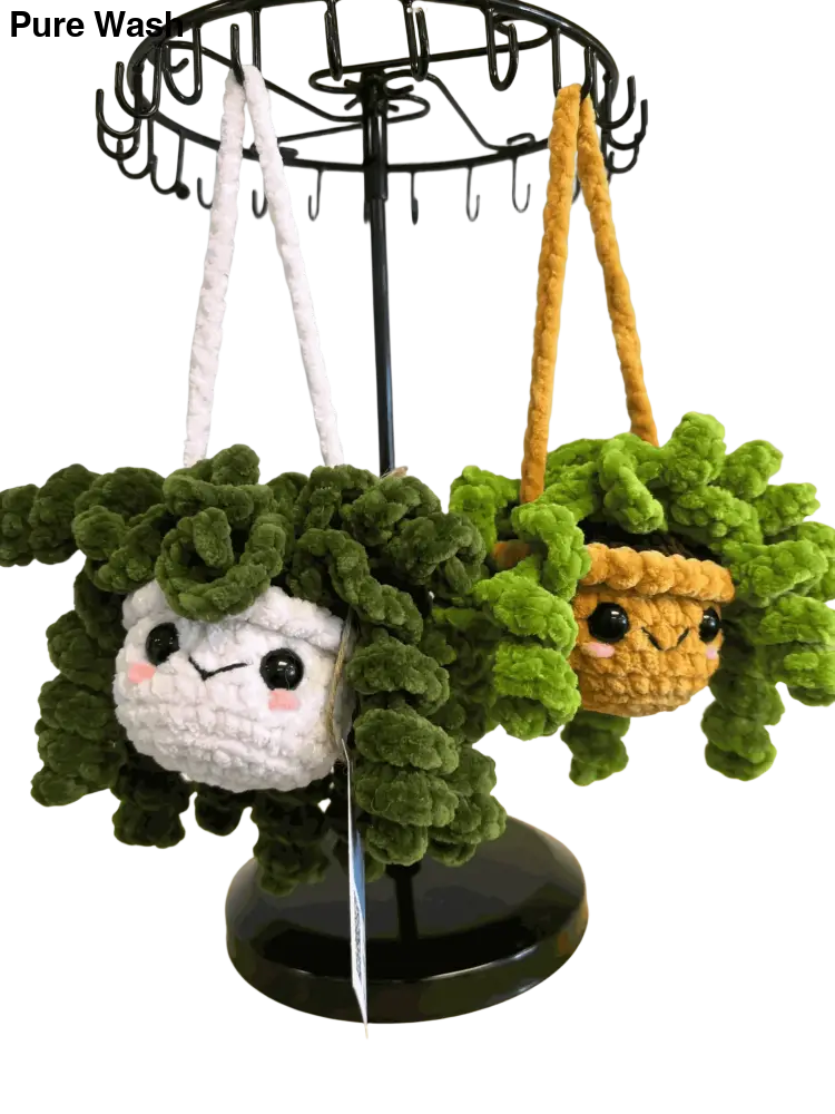 Hanging plant - curly - Pure Wash