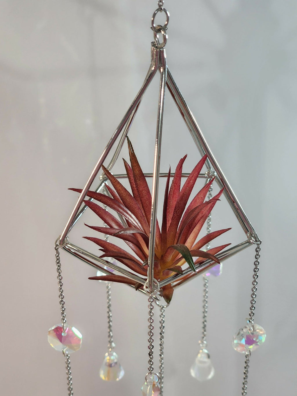 Pyramid Air Plant Suncatcher 2 - Pure Wash Canadian Made - Winnipeg