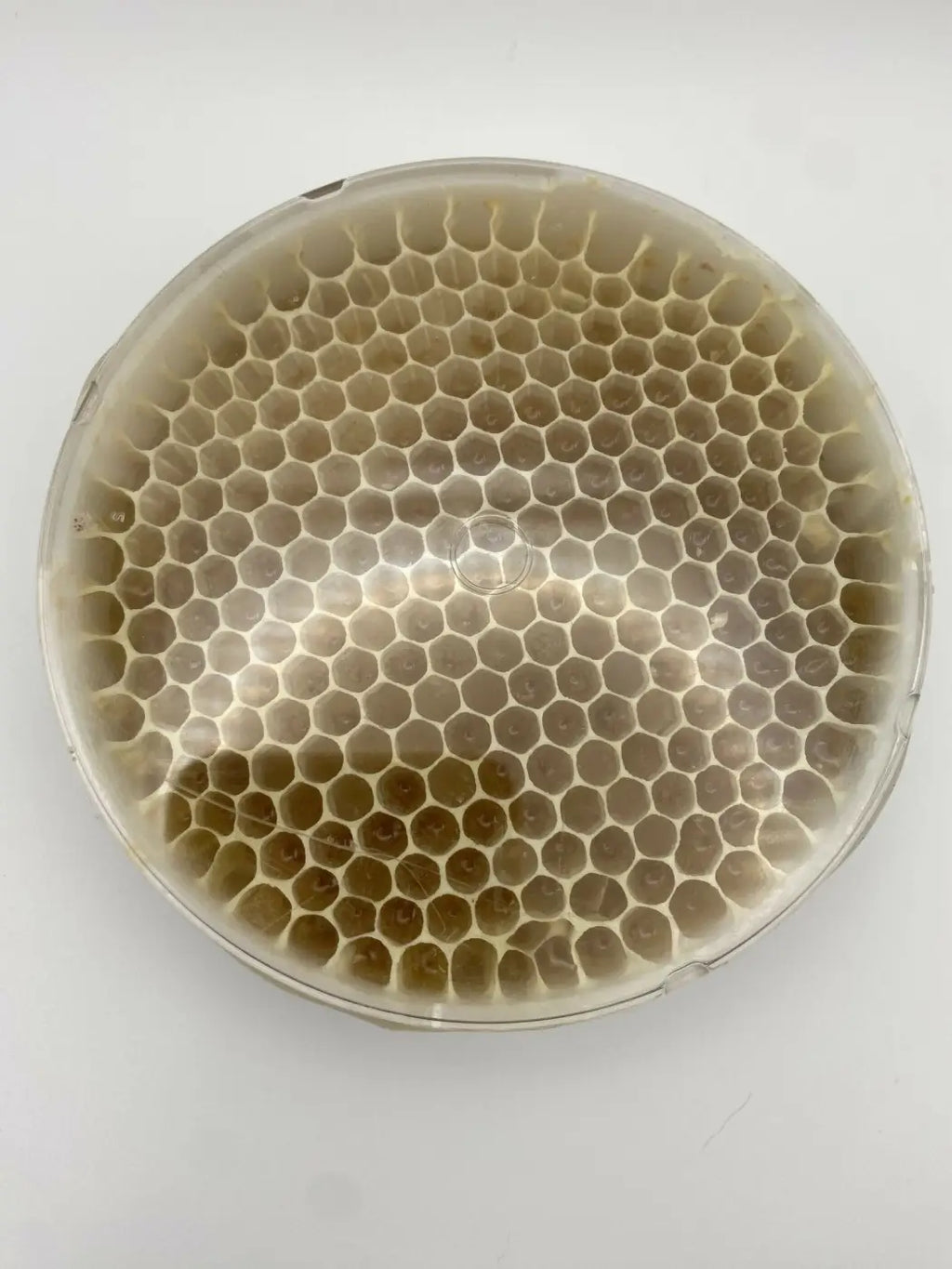 Honeycomb - Pure Wash Canadian Made - Winnipeg