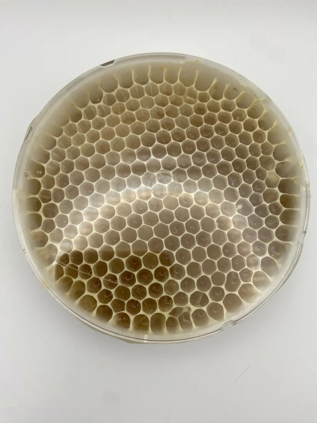 Clear plastic prairie mades honeycomb bath soak tray with translucent yellowish hexagonal cells inspired by honey candy