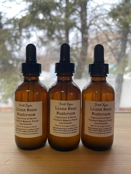 Lions Mane Tincture 2 oz, a wildcrafted mushroom tincture made in Manitoba by forestmama