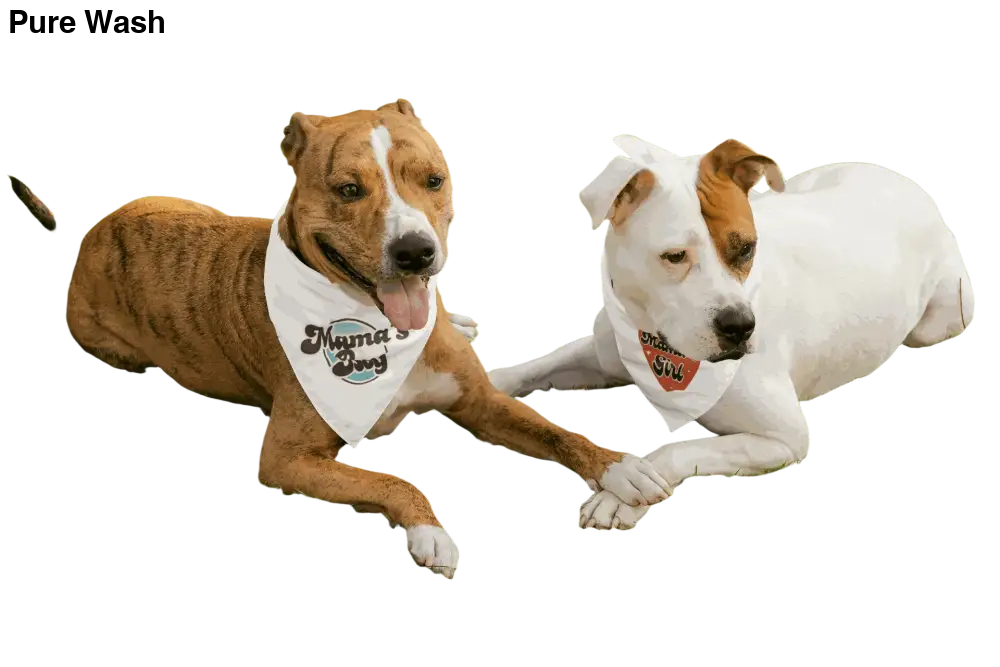 MAMA'S BOY - Pure Wash