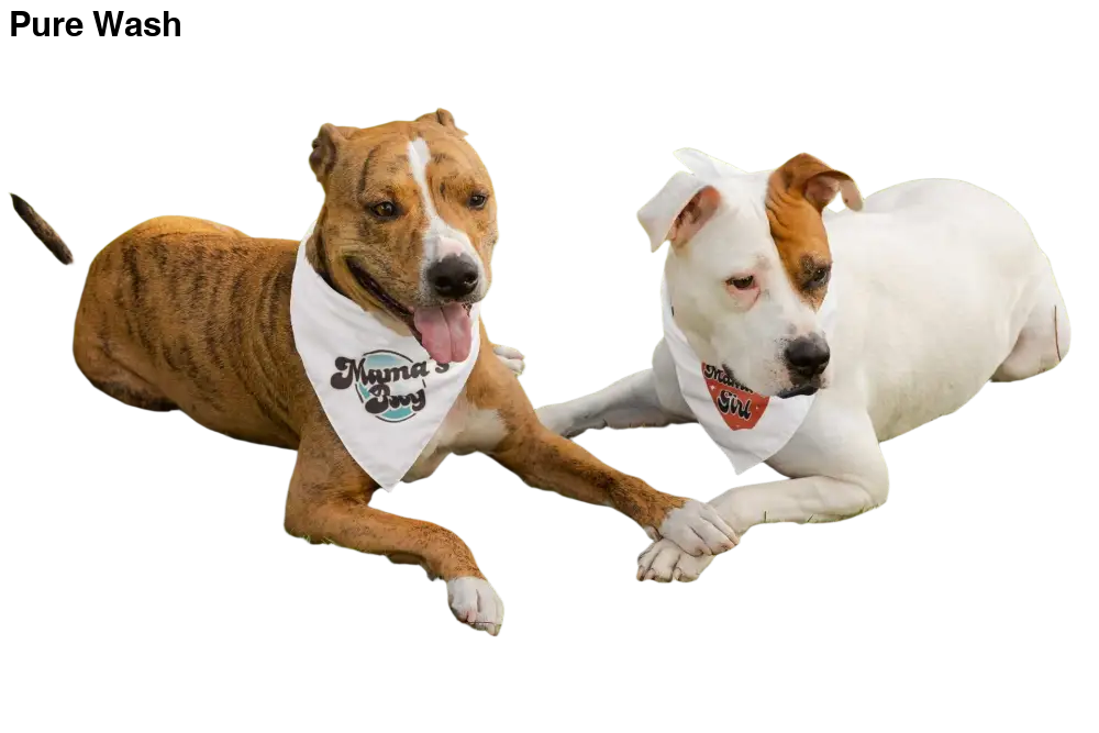 Mama’s Girl Dog Bandana – Stylish Pet Accessory - Pure Wash