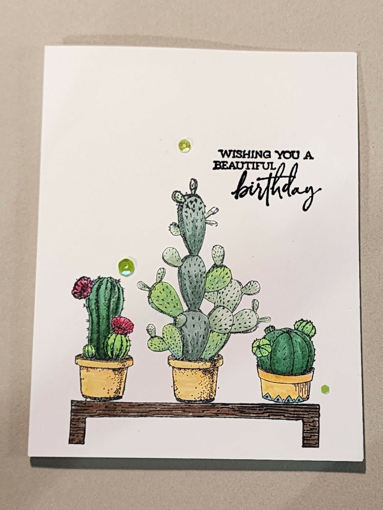 Cactus 1 Card - Pure Wash Canadian Made - Winnipeg