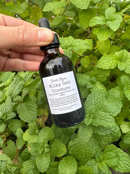 Milky Oats Tincture 2 oz, made from organically grown oat tops by forestmama