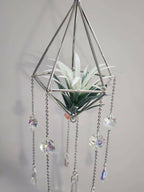 Pyramid Air Plant Suncatcher 5 - Pure Wash Canadian Made - Winnipeg