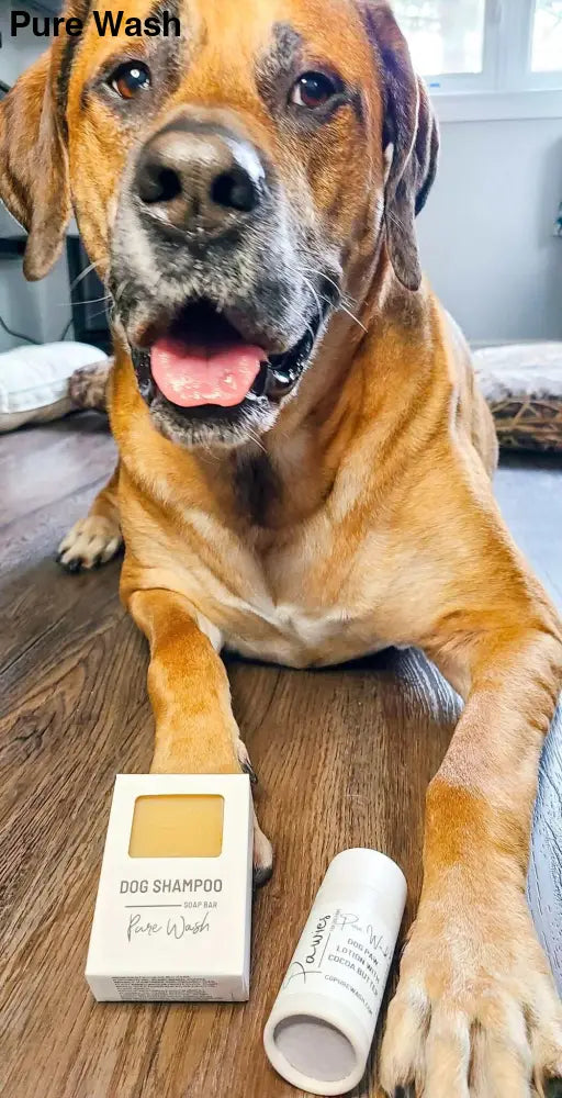 Pawsies Lotion Bar - Pure Wash