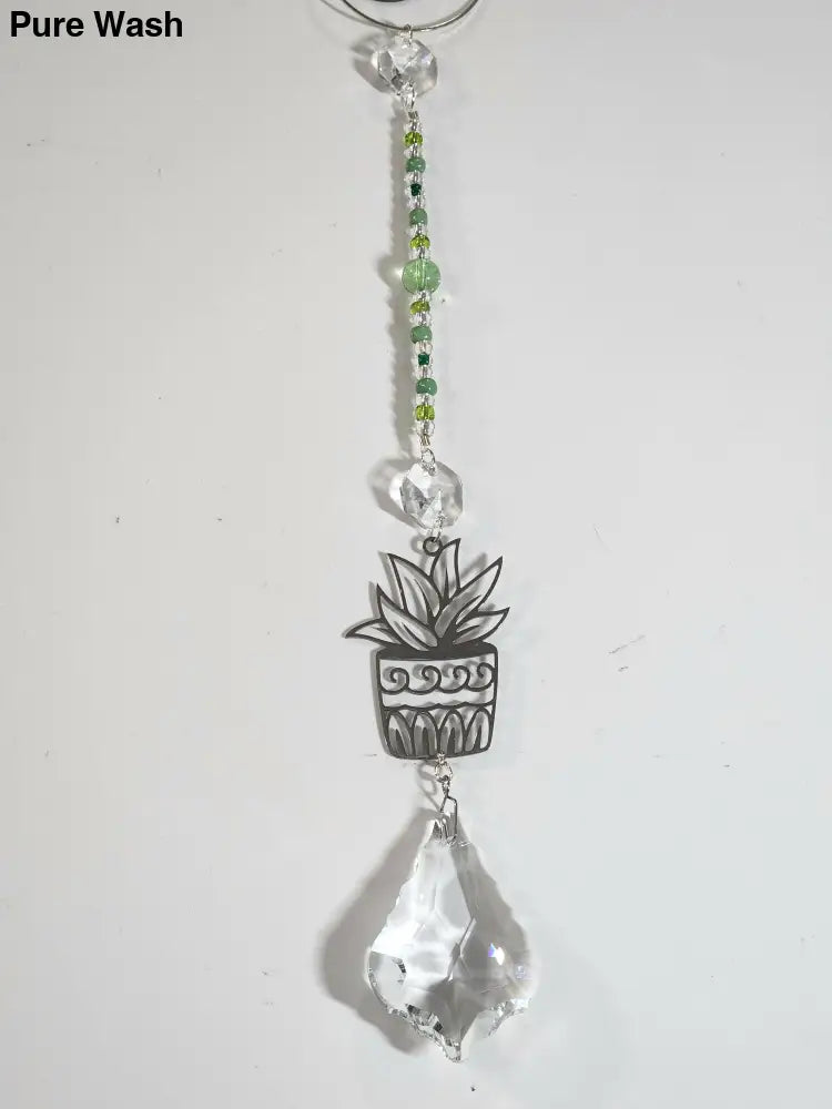 Plant Long Suncatcher 4 - Long Suncatcher