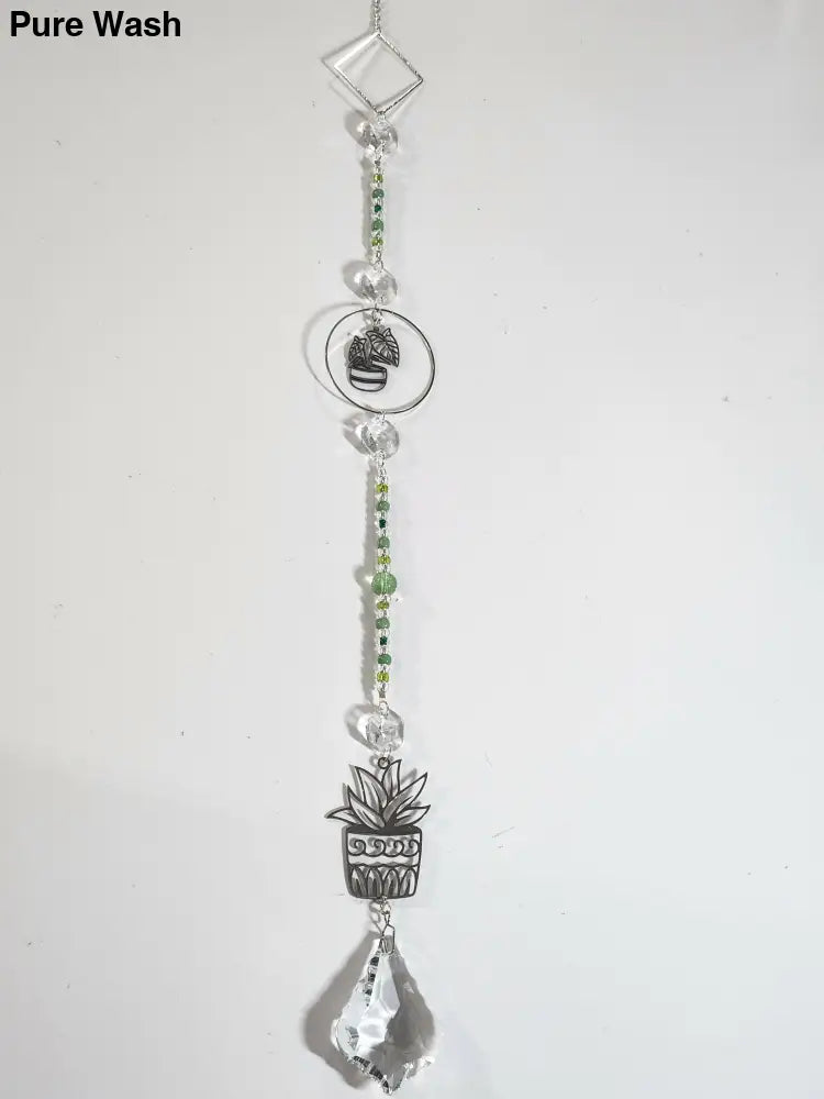 Plant Long Suncatcher 4 - Long Suncatcher