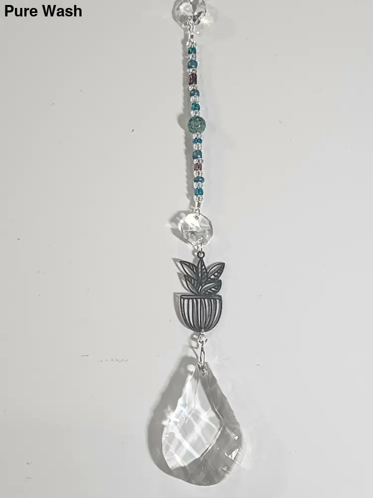 Plant Long Suncatcher 5 - Long Suncatcher