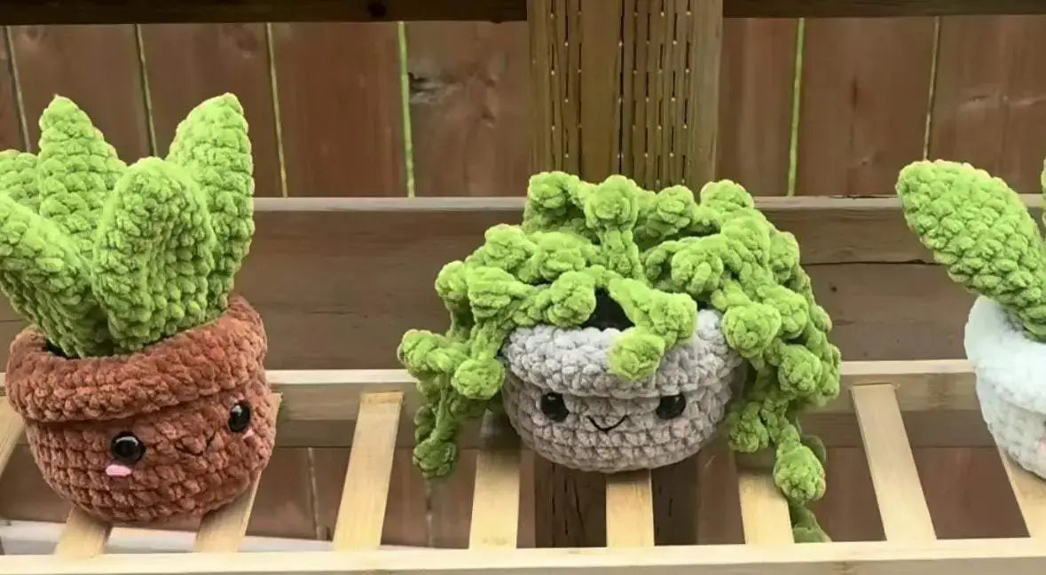 Plants - pure wash default title crocheted succulent plant brown pot winnipeg canada