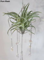 Pyramid Air Plant Suncatcher 1 - Pure Wash Canadian Made - Winnipeg