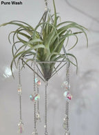 Pyramid Air Plant Suncatcher 1 - Pure Wash Canadian Made - Winnipeg